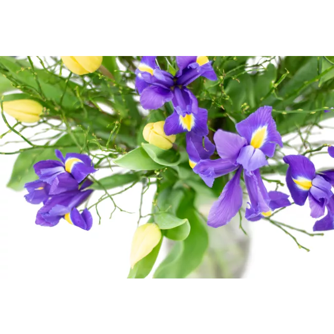 Kytice jarních květů